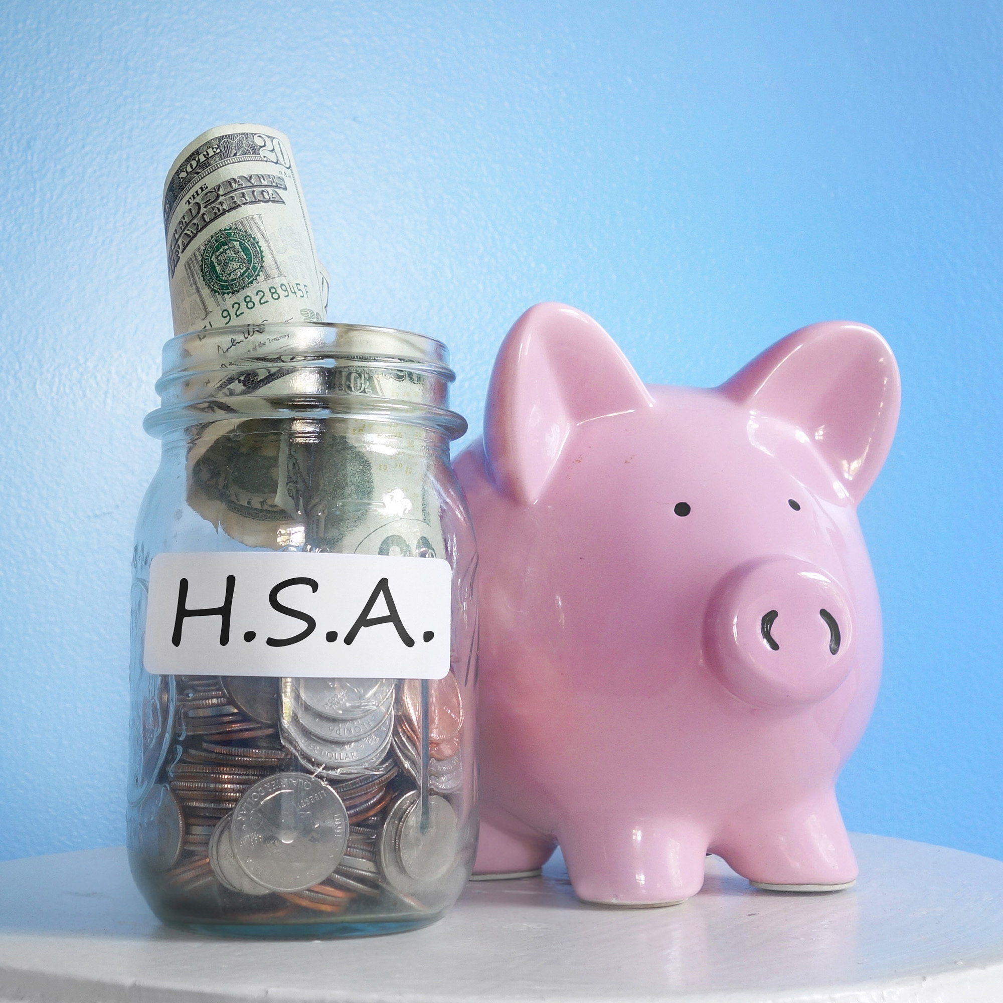 HEALTH SAVINGS ACCOUNT